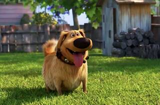 Tonton Trailer Terbaru dari Spin Off Pixar Up Dug Days rilis september ini di Disney plus Hotstar Indonesia